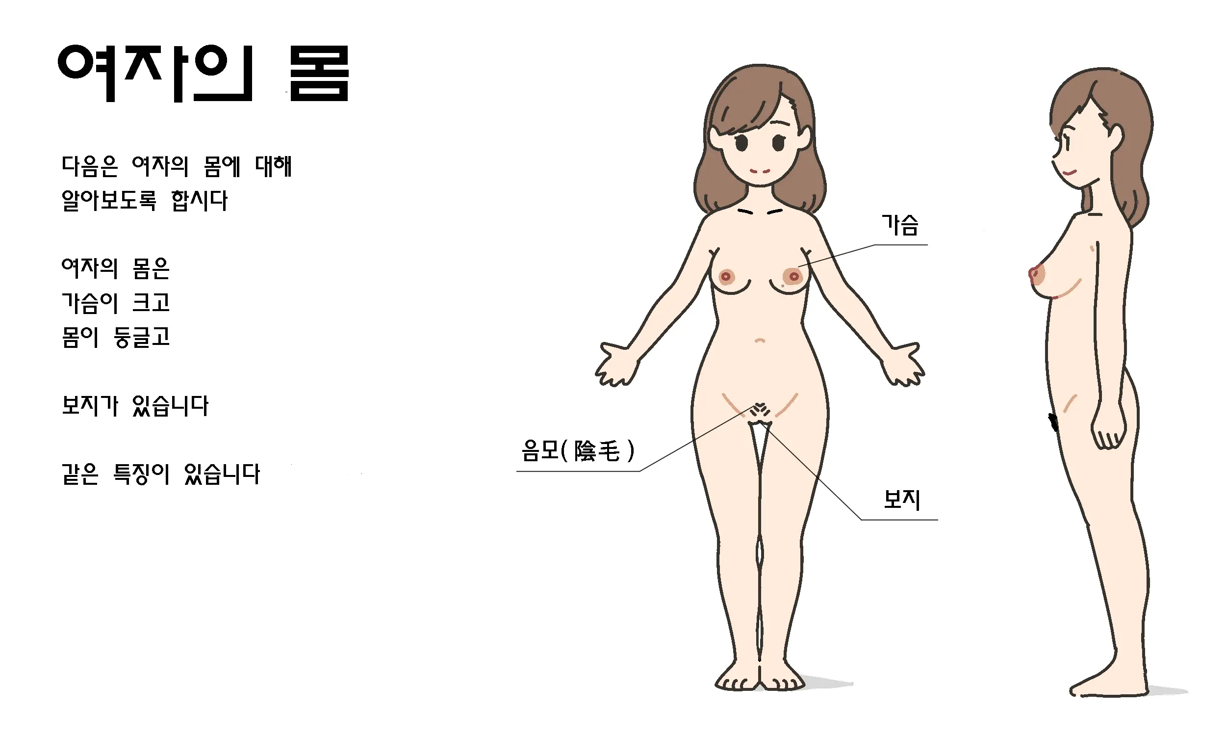 Watashitachi No Karada ~Kodomo Ga Dekirushikumi~ | 남자와 여자의 몸구조 ~아기가 생기는 구조~